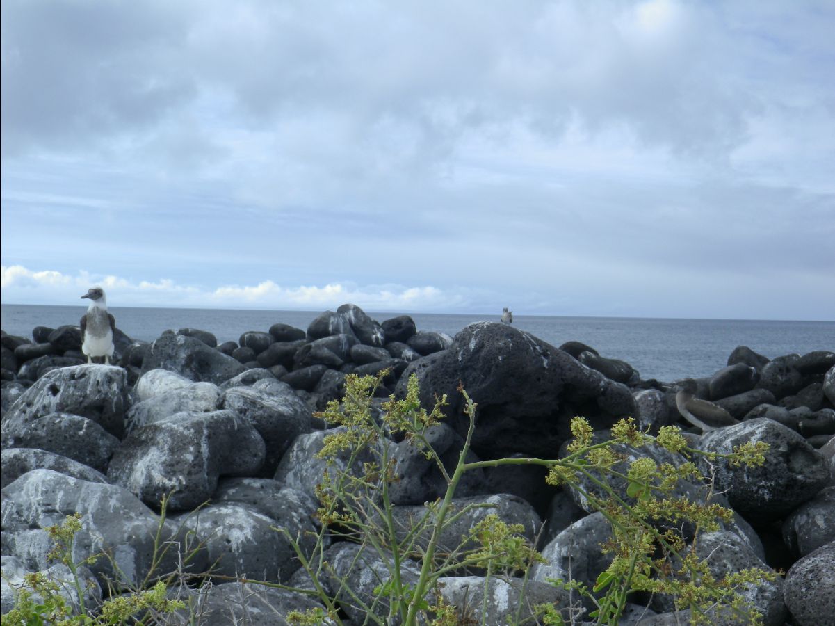 Galapagos Islands14